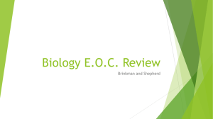 EOC review ppt