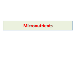 Micronutrients GIT