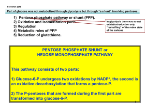 4 Pentose Phosphate Shunt
