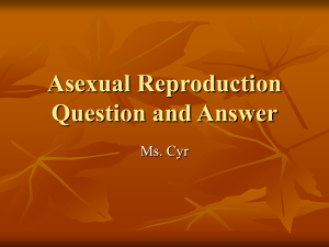 Asexual Reproduction Question and Answer (PowerPoint)
