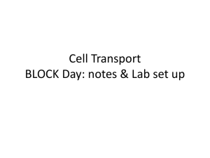 Cell Transport notes and lab