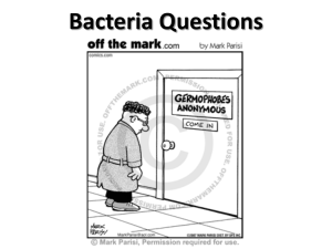 Bacteria Questions