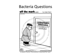 Bacteria Questions