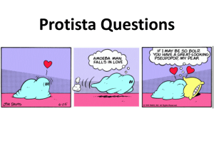 Bacteria Questions