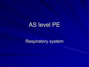 Respiratory System 2
