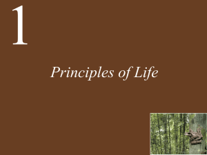 Chapter 1 Principles