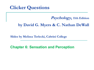 Sensation and Perception Chapter 6 PowerPoint