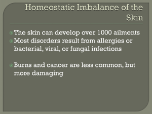 Homeostatic Imbalance of the Skin