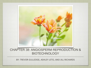 Chapter 38: Angiosperm Reproduction & Biotechnology