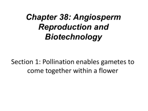 Plant Biotechnology is Transforming Agriculture!!!