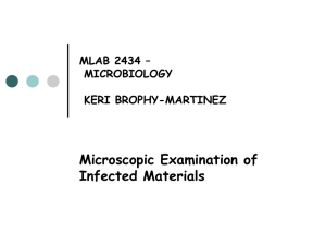 Microscopic Examination