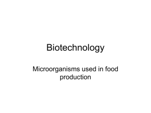 food production ppt