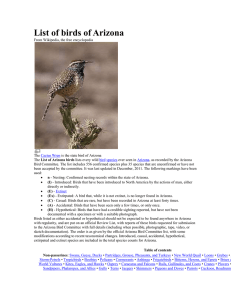 List of birds of Arizona