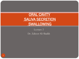 ORAL CAVITY & SALIVA SECRETION