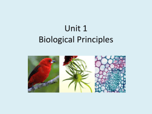 Unit 1 Biological Principles