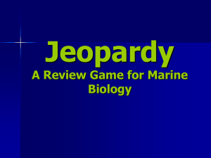 Marine Bio Jeopardy