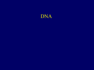 DNA replication to translation