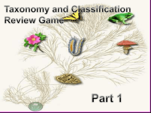 Part I: Taxonomy and Classification Review Game