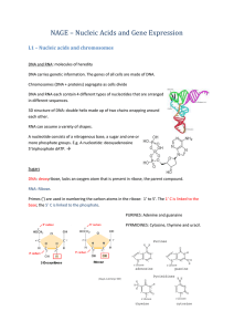 DNA and RNA: molecules of heredity