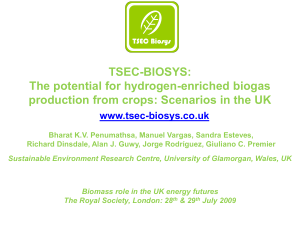 Mechanistic Modelling of Bio-energy Systems - TSEC