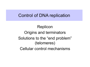 Control of DNA replication