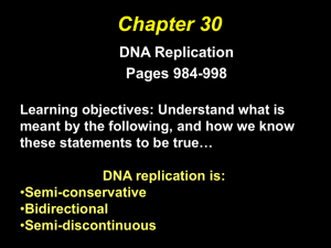 DNA replication is