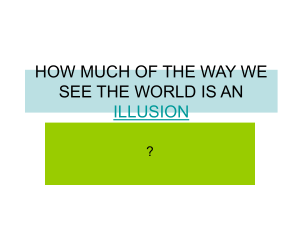 HOW MUCH OF THE WAY WE SEE THE WORLD IS AN ILLUSION?