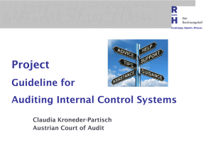 Internal Guidelines for Internal Control Auditing in Austria