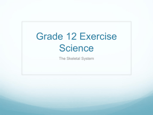 Grade 12 Exercise Science