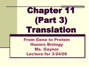 LECTURE #6: Translation and Mutations