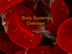 Body Systems Overview