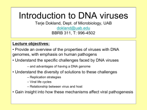 Introduction to DNA viruses