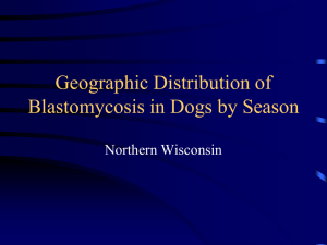 Geographic Distribution of Human & Dog Blastomycosis by Season