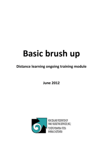 Basic brush up - Adviser pack