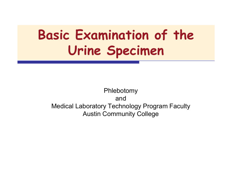 Chemical Examination Of Urine 9947