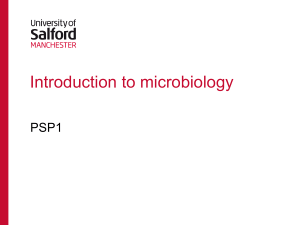 intro to microbiology updated