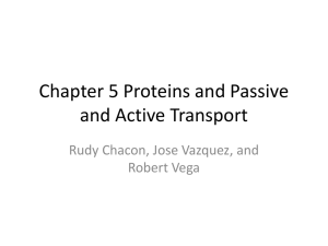 Chapter 5 Proteins and Passive and Active Transport