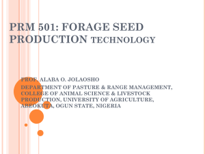 prm 501: forage seed production