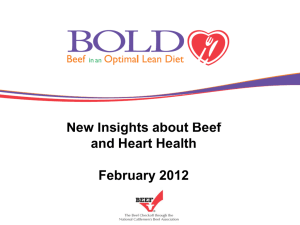BOLD - Beef Nutrition