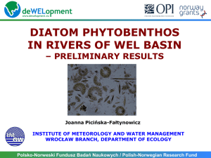 Joanna Picińska Fałtynowicz "River diatom and phytobenthos"