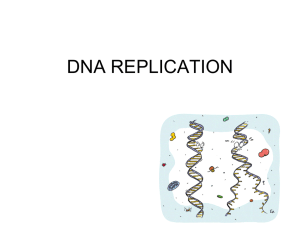 DNA REPLICATION