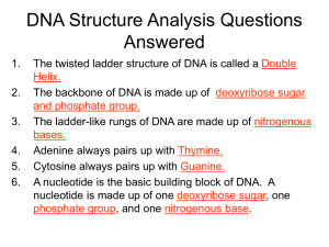 Chromosome and DNA Replication