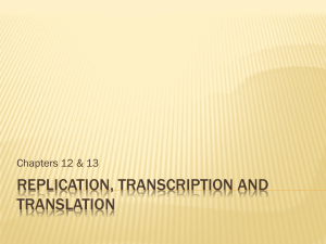 Replication, transcription and translation