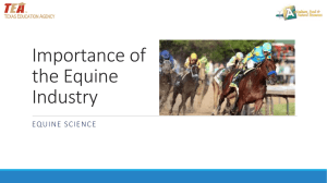 Importance of the Equine Industry