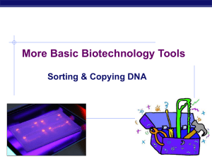 Biotechnology - Explore Biology