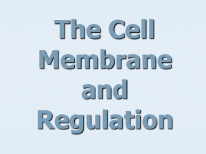 The Cell Membrane and Regulation Function of a Cell Membrane