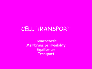 Cell Membranes - Lovejoy High School