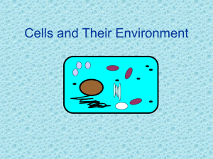 Cells and Their environment