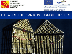 Plants in Turkish traditions