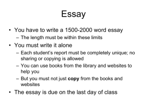 Essay guidelines